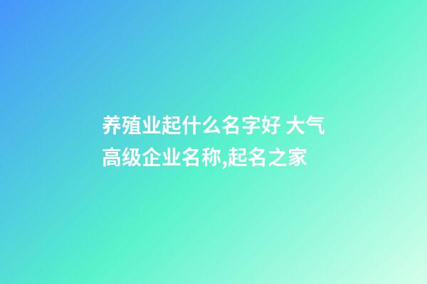 养殖业起什么名字好 大气高级企业名称,起名之家-第1张-公司起名-玄机派
